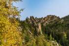 Steep and rocky and forested slopes define much of the habitat at Custer State Park. Art Print